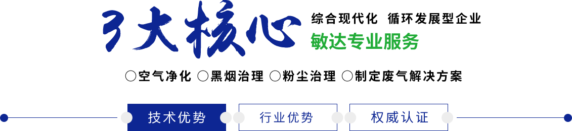 肏死我夜夜肏敏达环保科技（嘉兴）有限公司